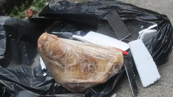 Teror Kepala Babi Wartawan Tempo